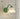 GVG Lily French Style Wall Scone from GVG