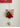 MELONGIRL Christmas Tree Wool Felt Door Pendant from MELONGIRL