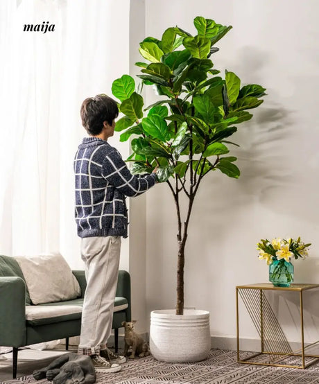 Artificial Fig Plant from Royal Forest