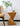 Irregular Hourglass Wood Stump Side Table from maija