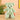 WANBAOLE Charlie Colorful Plush Bear Doll from WANBAOLE