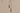CH LIGHTING Japanese Retro Bar Ceiling Lamp for Bed from CH LIGHTING