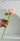 LIVETAI Creative Assembly Toy Flower from maija