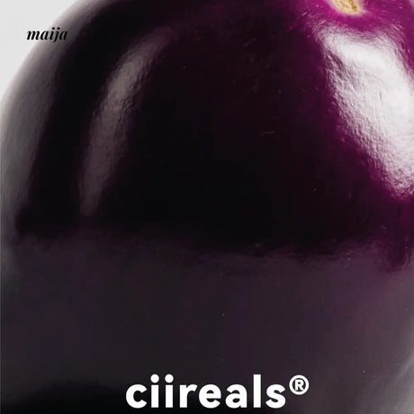 CIIREALS Eggplant Ceramic Planter from maija