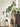 LILY WHITE Minimal Modern Scandinavian Artificial Plant from LILY WHITE