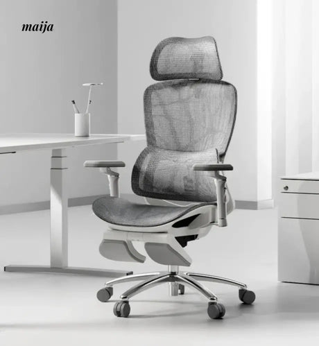 Black and White E2PRO Ergonomic Chair from Hbada