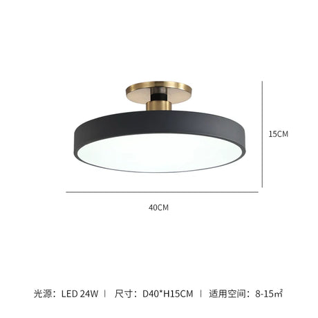 ALISA Victoria Modern Corridor Ceiling Light from ALISA