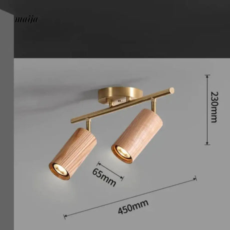 CH LIGHTING Mounted Ceiling and Wall Spot Light from CH LIGHTING