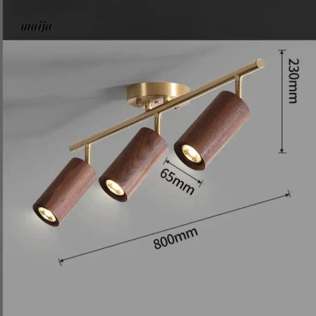 CH LIGHTING Mounted Ceiling and Wall Spot Light from CH LIGHTING