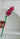 LIVETAI Creative Assembly Toy Flower from maija