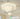 GVG Biscuit Ceiling Light from GVG