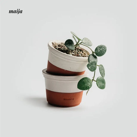 CIIREALS  Icing Ceramic Planter from CIIREALS