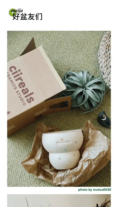 CIIREALS Fish Eye Candy Ceramic Planter from CIIREALS