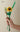 LIVETAI Creative Assembly Toy Flower from maija