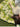 TEXDREAM 3D French Wonderland Garden from maija