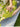 TEXDREAM 3D French Wonderland Garden from maija