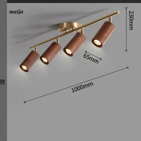 CH LIGHTING Mounted Ceiling and Wall Spot Light from CH LIGHTING