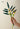 LIVETAI Creative Assembly Toy Flower from maija