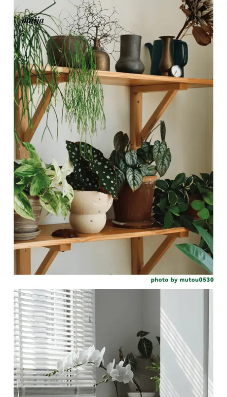 CIIREALS Fish Eye Candy Ceramic Planter from CIIREALS
