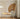 ZOOI HOME Shell Designer Dining Chair from ZOOI HOME