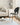ZOOI HOME Shell Designer Dining Chair from ZOOI HOME