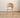 ZOOI HOME Shell Designer Dining Chair from ZOOI HOME