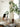 LILY WHITE Minimal Modern Scandinavian Artificial Plant from LILY WHITE