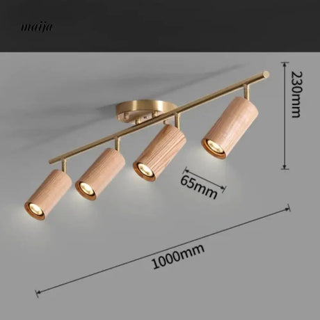 CH LIGHTING Mounted Ceiling and Wall Spot Light from CH LIGHTING
