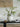LILY WHITE Silent Wind Solid Wood Entry Ornament from LILY WHITE