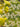 TEXDREAM 3D French Wonderland Garden from maija