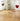 Button Dining Chair (Set of 2) from Yishengtao