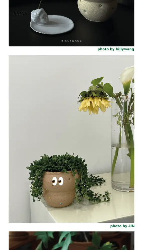 CIIREALS Fish Eye Candy Ceramic Planter from CIIREALS