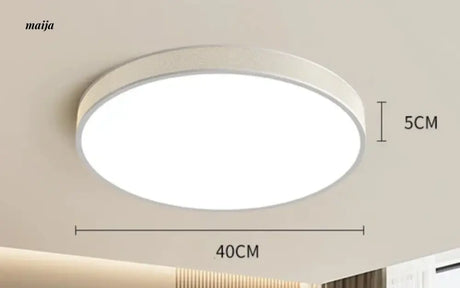 GVG LED Ceiling Light from GVG