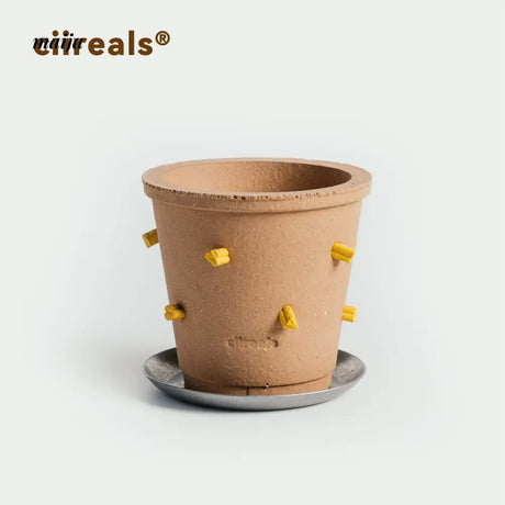 CIIREALS Root Tuber Ceramic Planter from CIIREALS