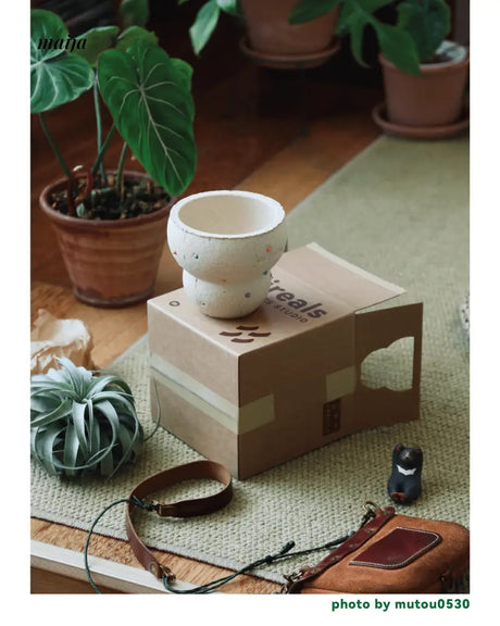 CIIREALS Fish Eye Candy Ceramic Planter from CIIREALS