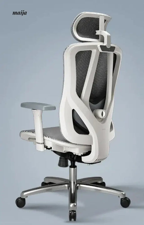 Black and White P7 Ergonomic Office Chair from Hbada