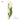 KENZAKI Washable Garden Rug from KENZAKI
