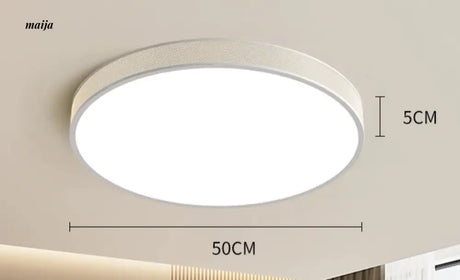 GVG LED Ceiling Light from GVG