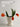 BEN HANMEI Elowen Elegant Ceramic Vase - Nordic Artistic Decoration from BEN HANMEI