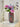Antique Flower Vase from maija