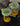 Cartoon Duck Feet Cocktail Glass from maija