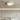 MODENG Genie Ceiling Light from MODENG