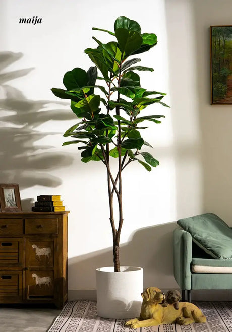 Artificial Fig Plant from Royal Forest