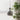 LYNN Silver Ceiling Lamp from Lynn's Lamp