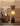 Zenith Lamp from maija