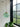 LYNN Japanese Internet Celebrity Ceiling Lamp from Lynn's Lamp