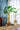 Artificial Monstera Plant from maija