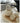 WENSHUO Cream Japanese Ceramic Cup Set from WENSHUO