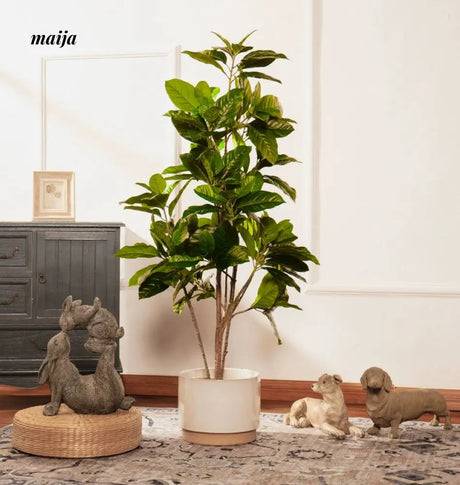 Artificial Rubber Plant from maija