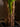 Artificial Large Leaf Banana Tree from maija